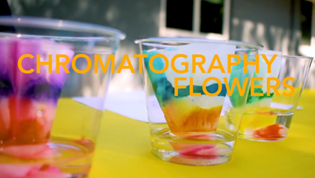 Design Chromatography Flowers